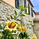 Casa Marina, Relax Tra Mare E Ulivi Villa Diano San Pietro