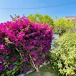 Villa Casa Marina, Relax Tra Mare E Ulivi Diano San Pietro