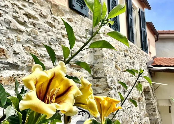Casa Marina, Relax Tra Mare E Ulivi Villa Diano San Pietro