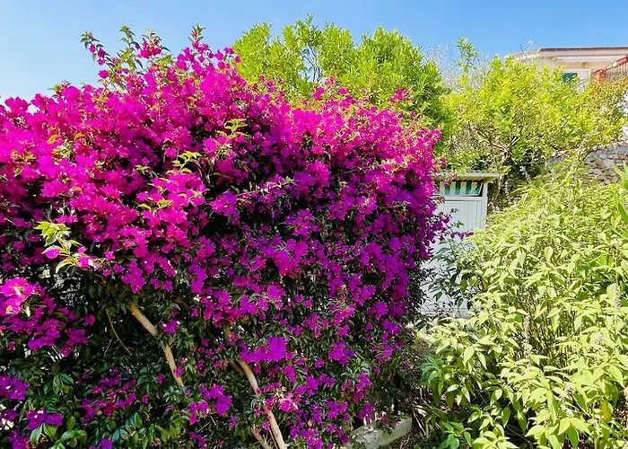 Villa Casa Marina, Relax Tra Mare E Ulivi Diano San Pietro