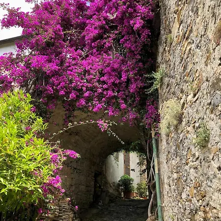 Casa Marina, Relax Tra Mare E Ulivi