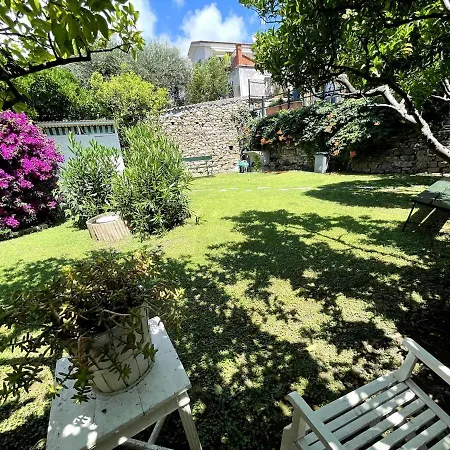 Casa Marina, Relax Tra Mare E Ulivi Βίλα *