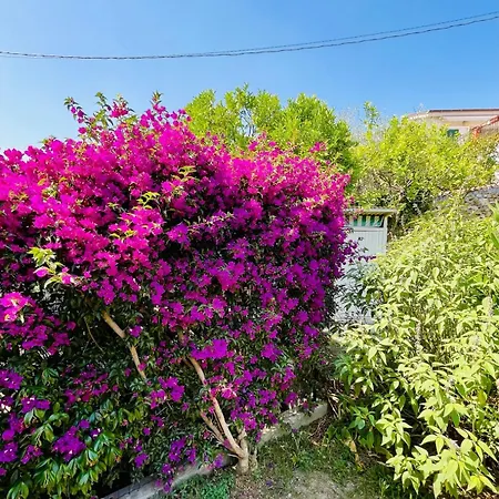Βίλα Casa Marina, Relax Tra Mare E Ulivi Diano San Pietro