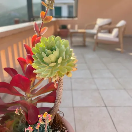 Casa Marina, Relax Tra Mare E Ulivi Villa *