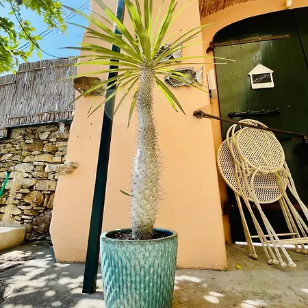 别墅 Casa Marina, Relax Tra Mare E Ulivi