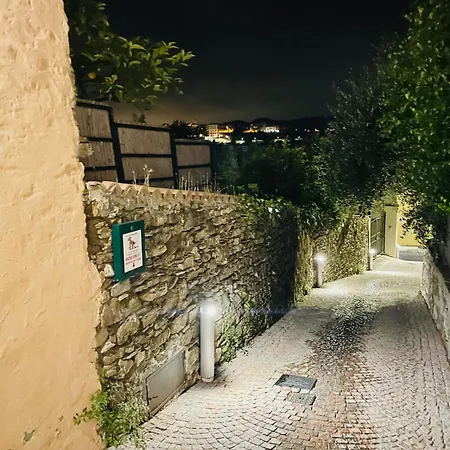 Casa Marina, Relax Tra Mare E Ulivi *