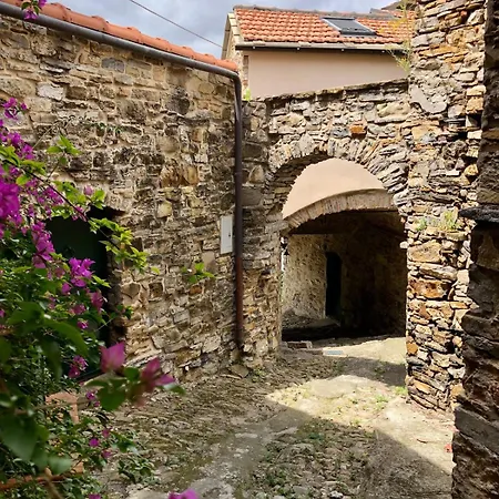 Villa Casa Marina, Relax Tra Mare E Ulivi *