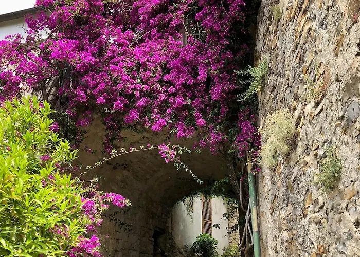 Casa Marina, Relax Tra Mare E Ulivi