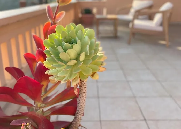 Casa Marina, Relax Tra Mare E Ulivi Villa *