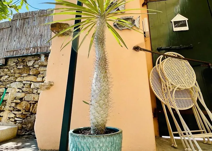 Villa Casa Marina, Relax Tra Mare E Ulivi